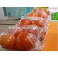 noodles /tissue/candy /compote fruit pillow packing machine